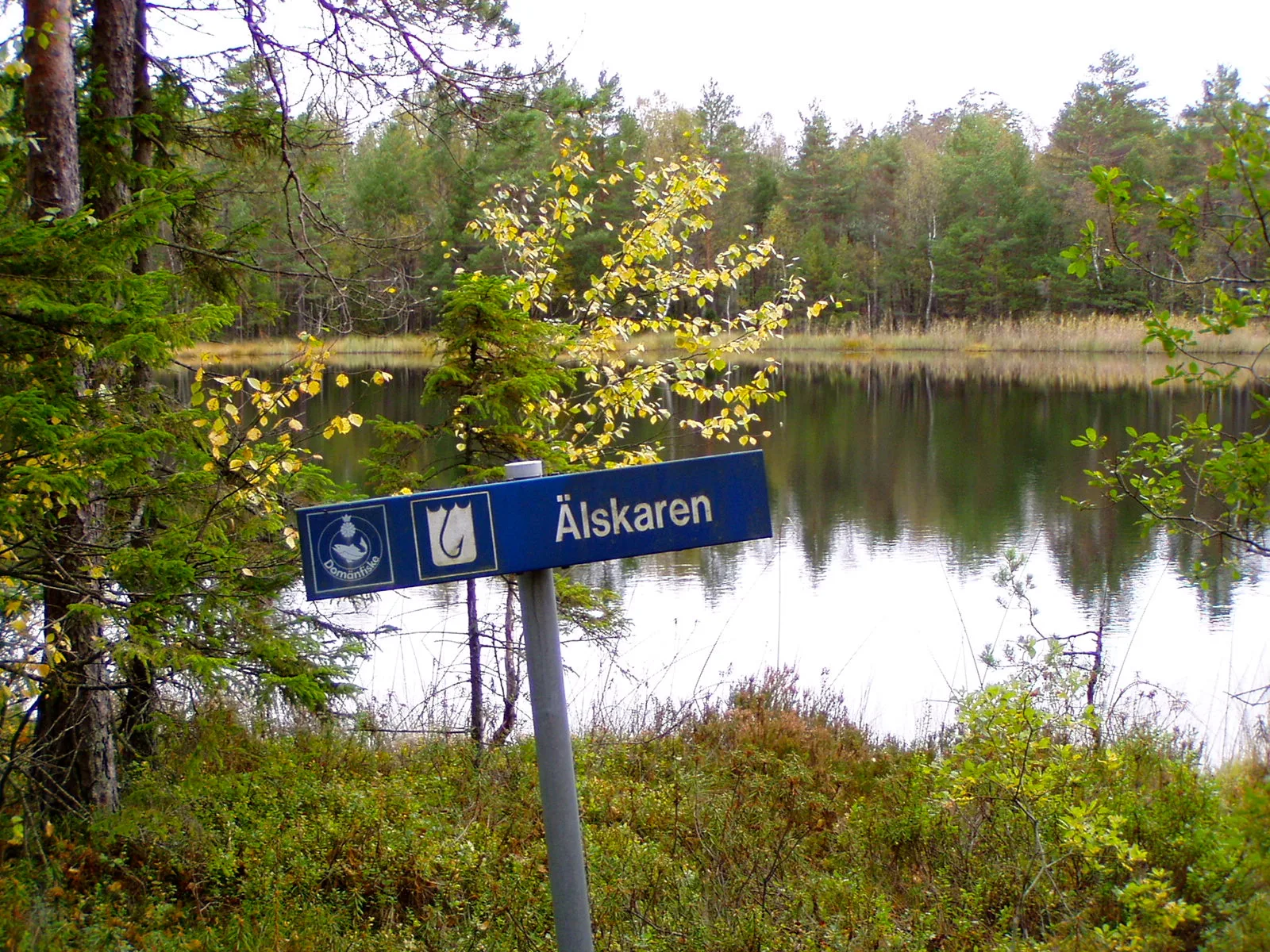 16 Maratonmarschen (previously Stockholm Fotrally) - 100h