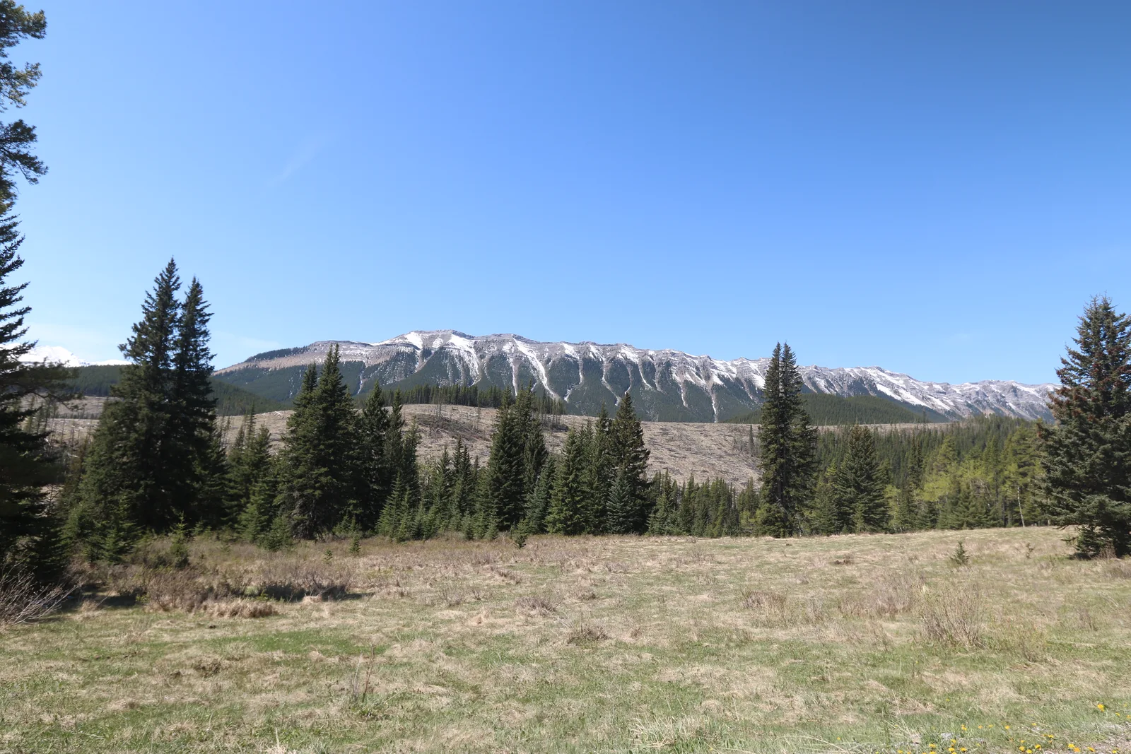 Powderface Mountain Marathon & Half Marathon