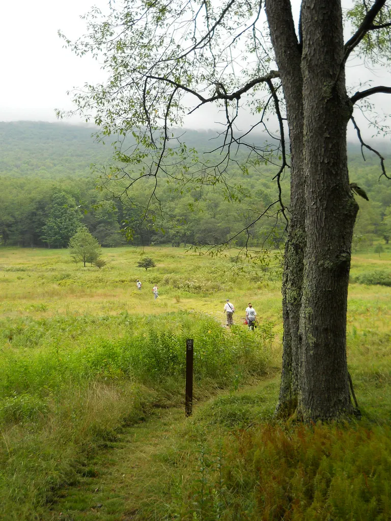23rd Highlands Sky 40M Trail Run - 40mi