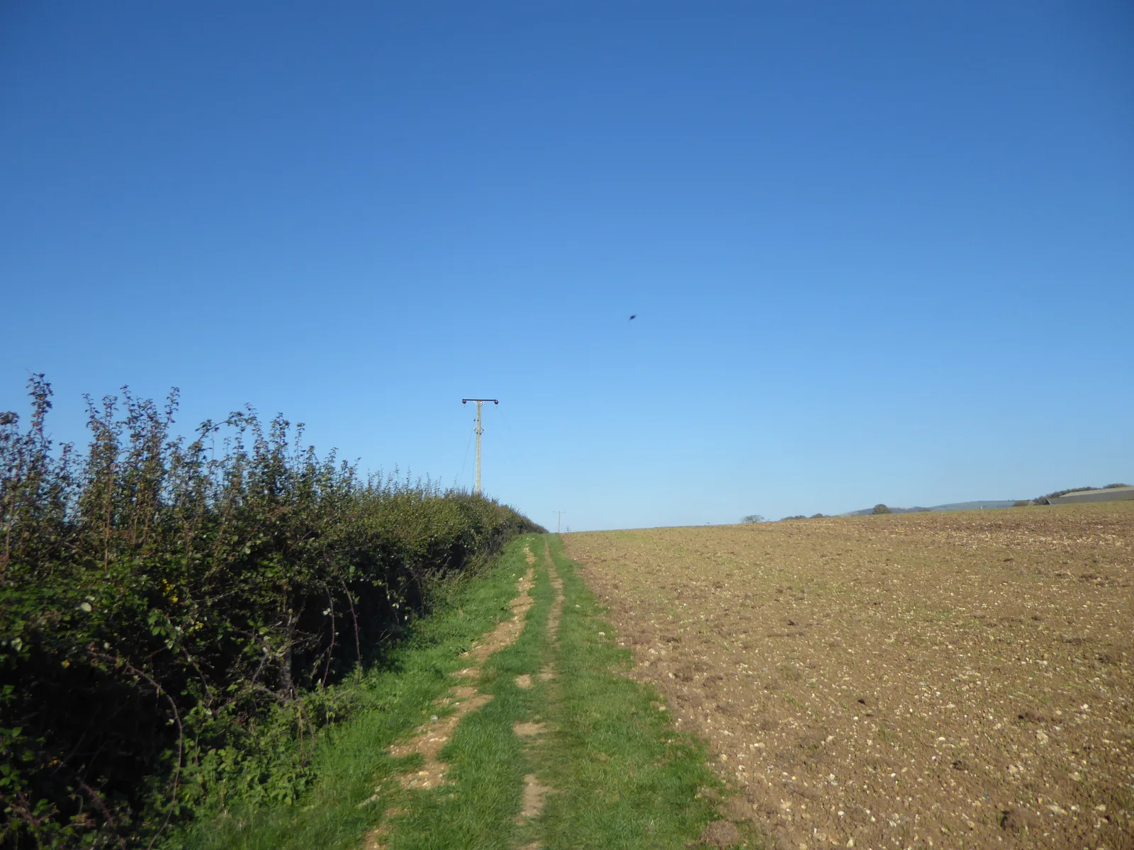3rd The Longbridge 100 Backyard Ultra (Summer) - 27h