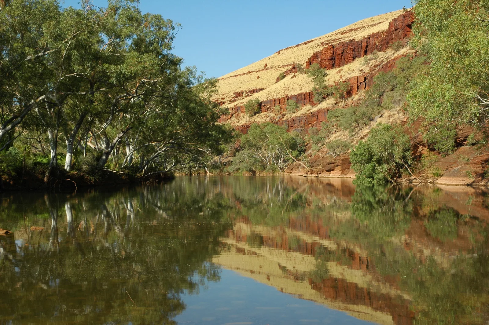 5th Red Dirt Backyard Ultra - 26h