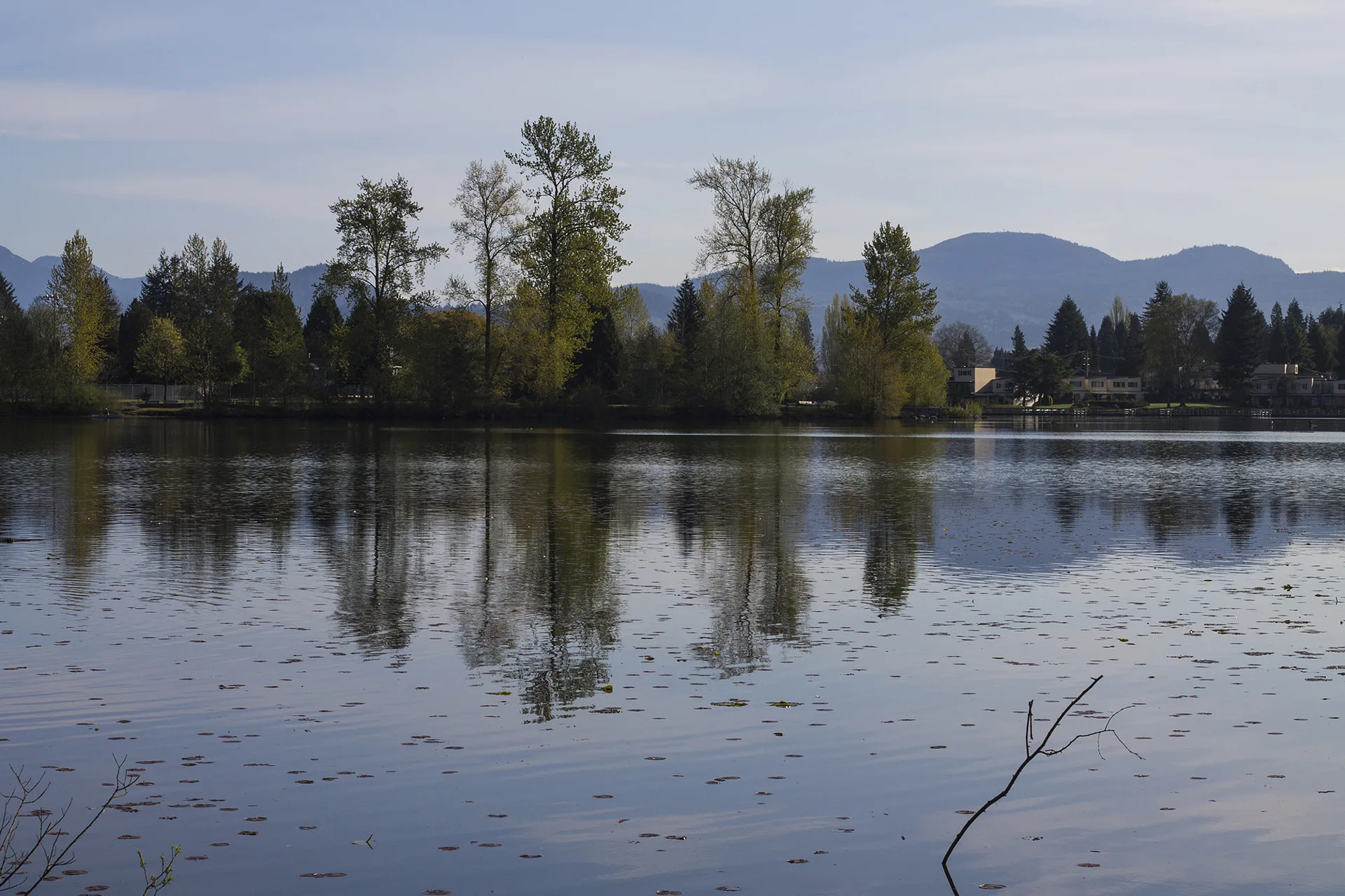 Abbotsford Run Group Thursday Nights Spring 2026