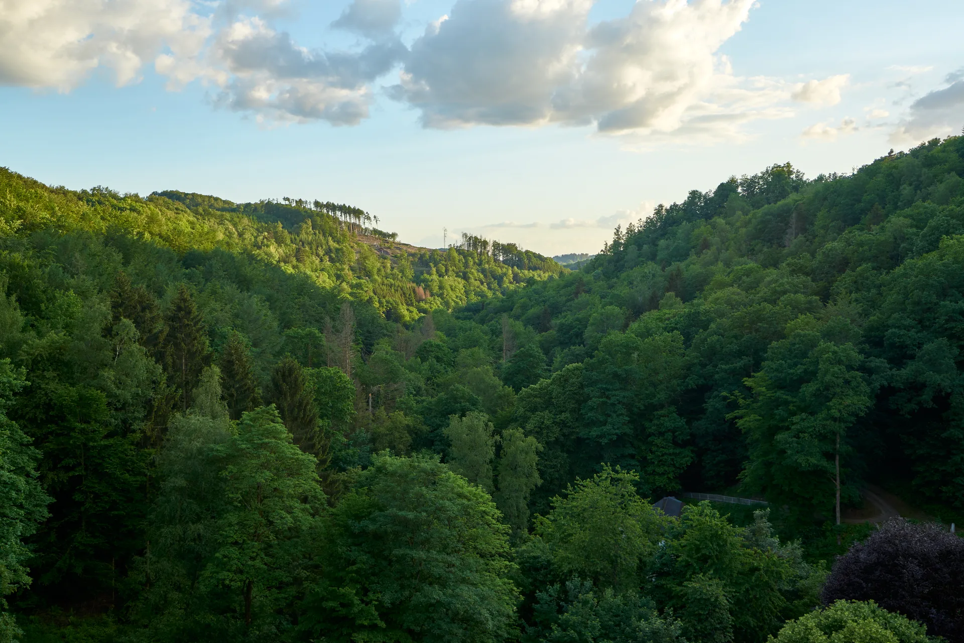 3. ABUS Trail 24h - 24h