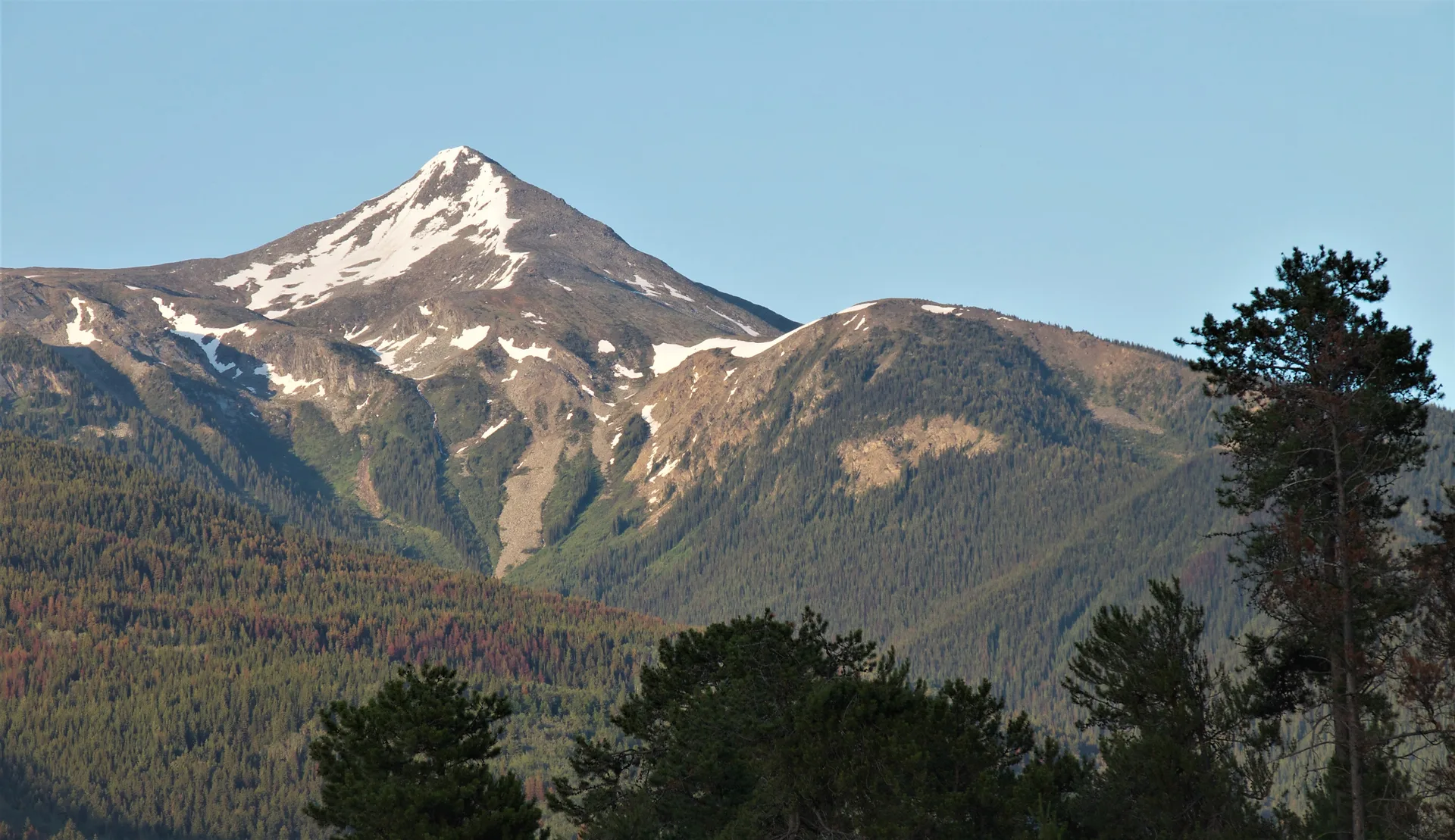 The Alpenglow 100