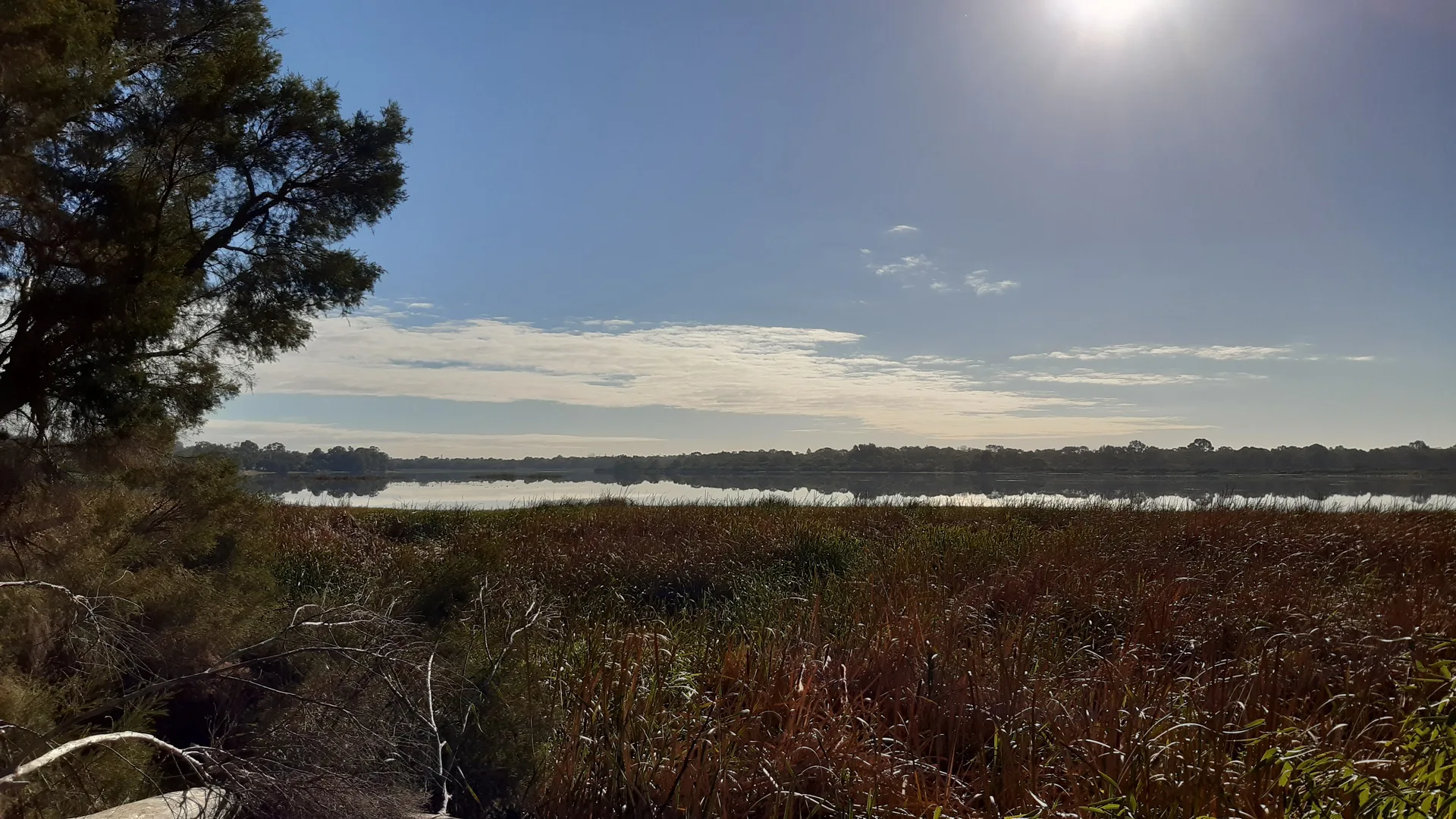 Bibra Lake Runningworks Festival