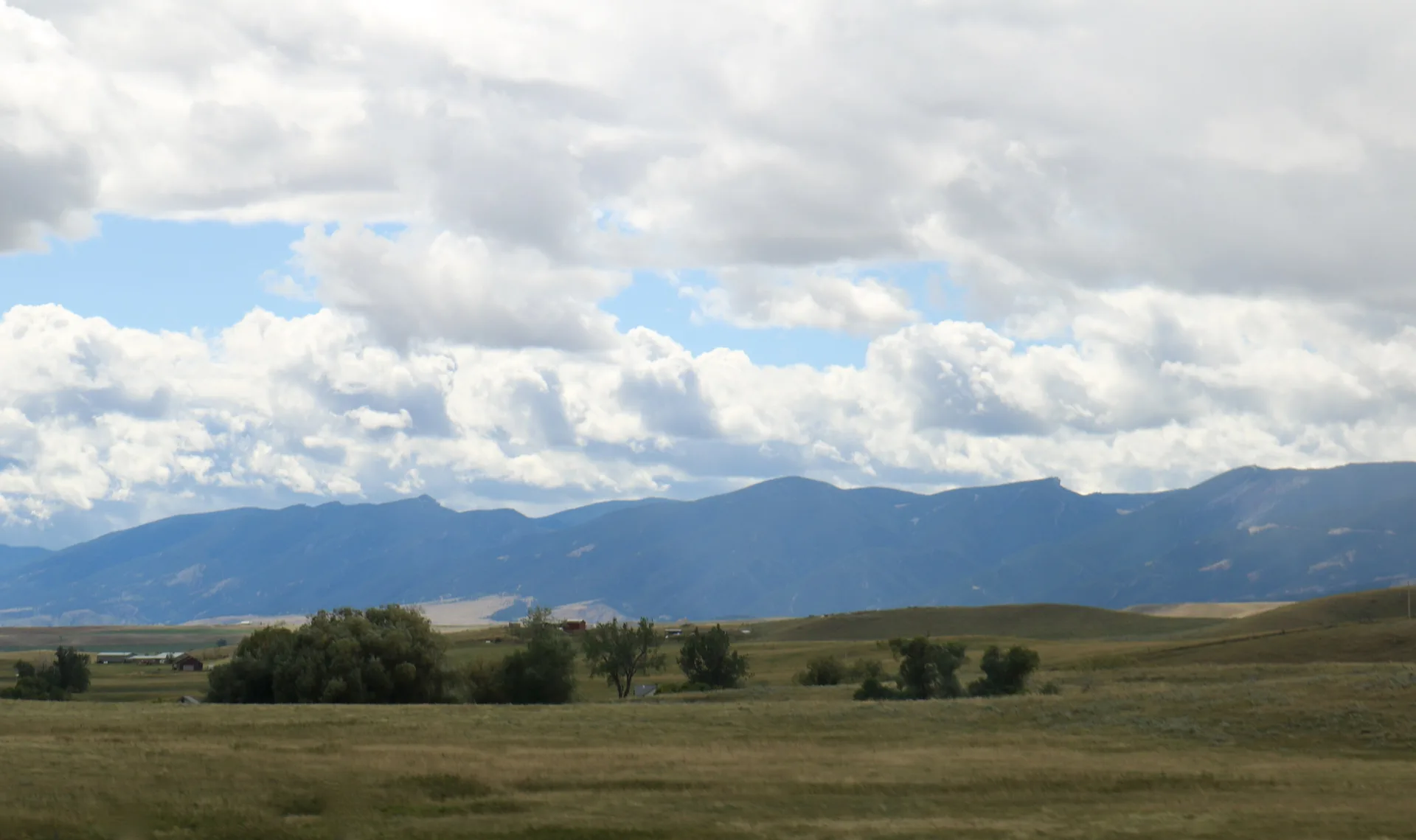 Bighorn Trail Run