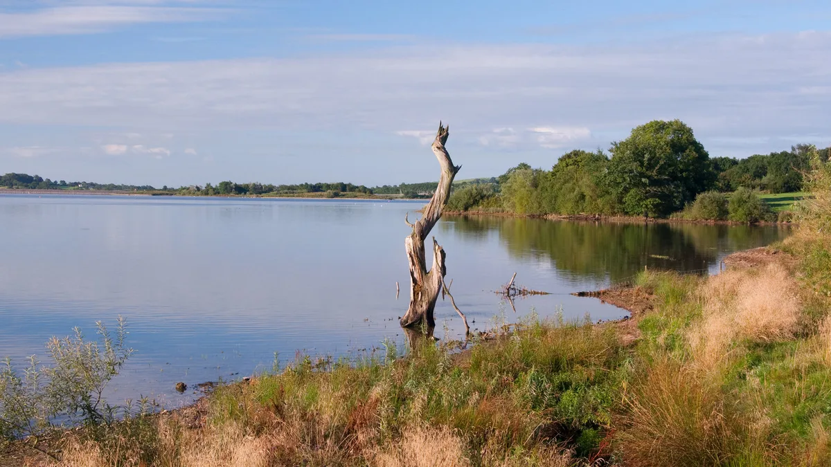 Carsington Water 10K & Half Marathon June