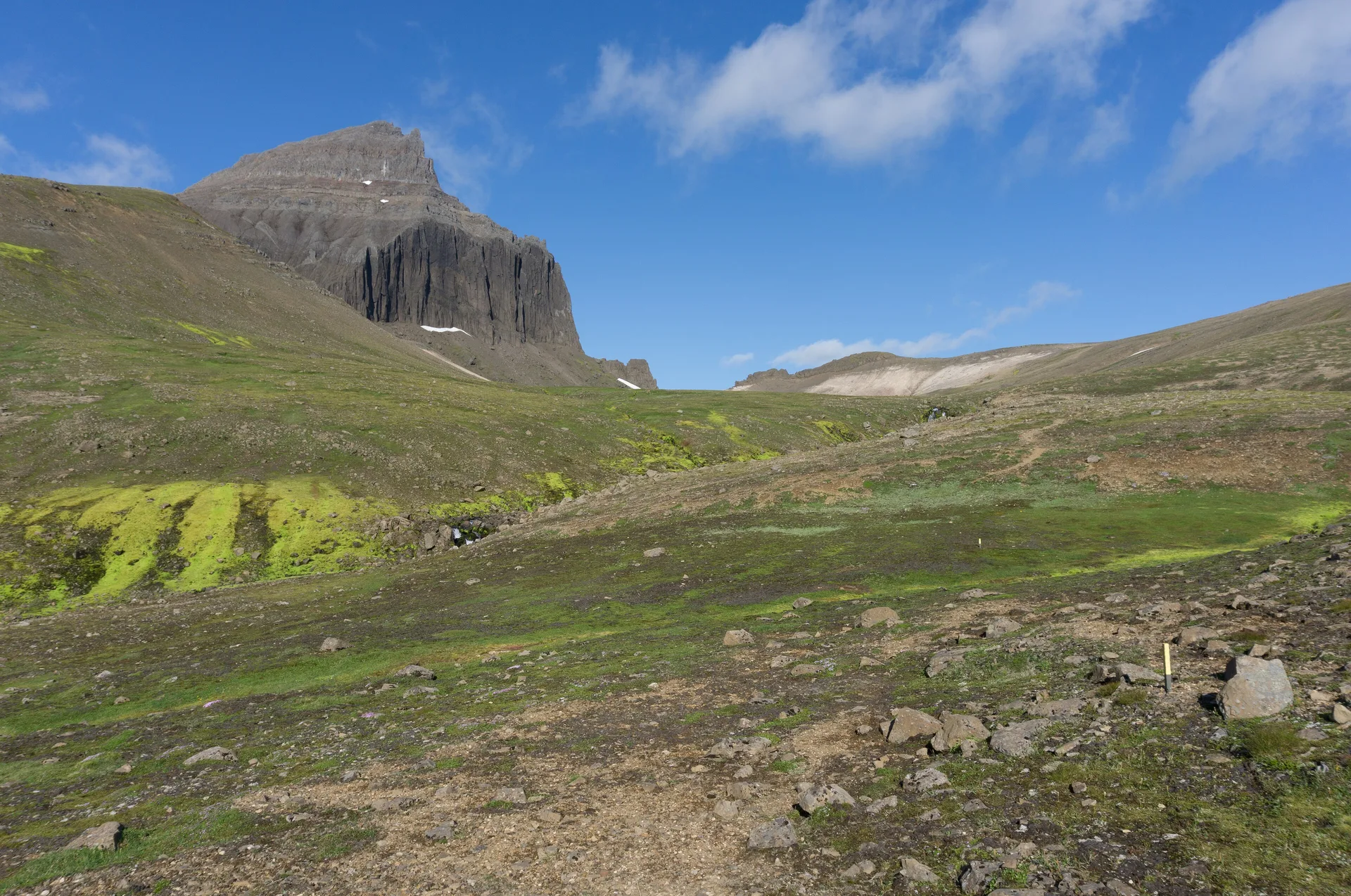 Dyrfjallahlaup - 50K