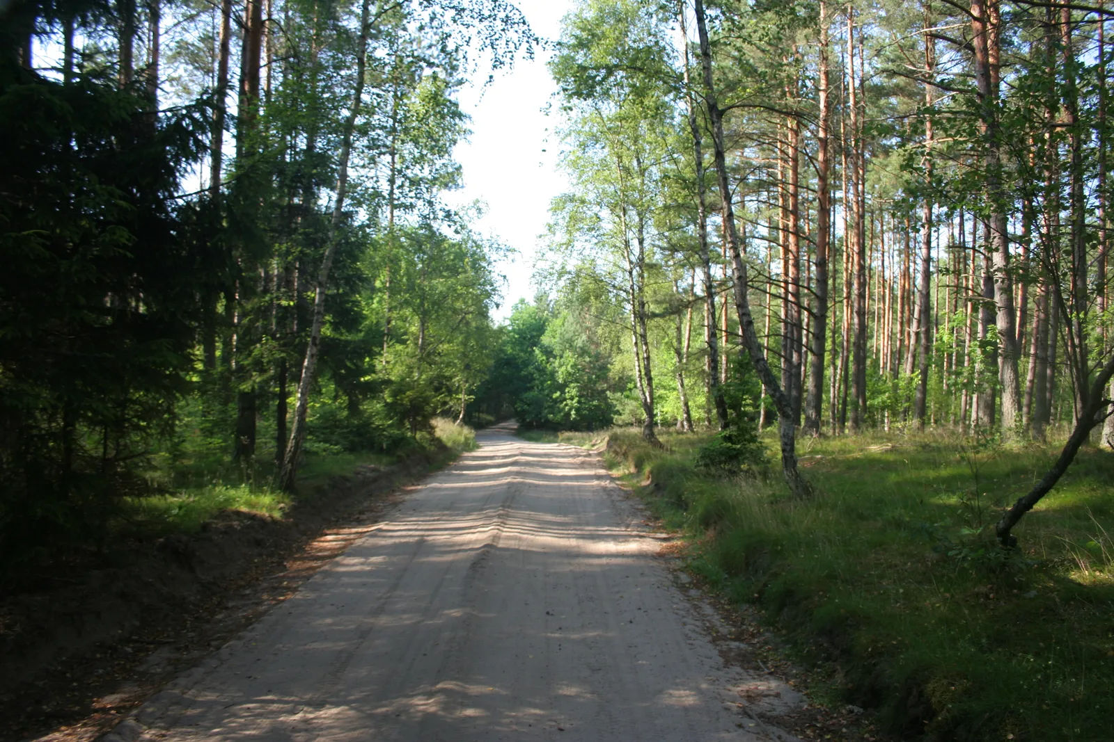 Gdynia Ultra Way - 163K