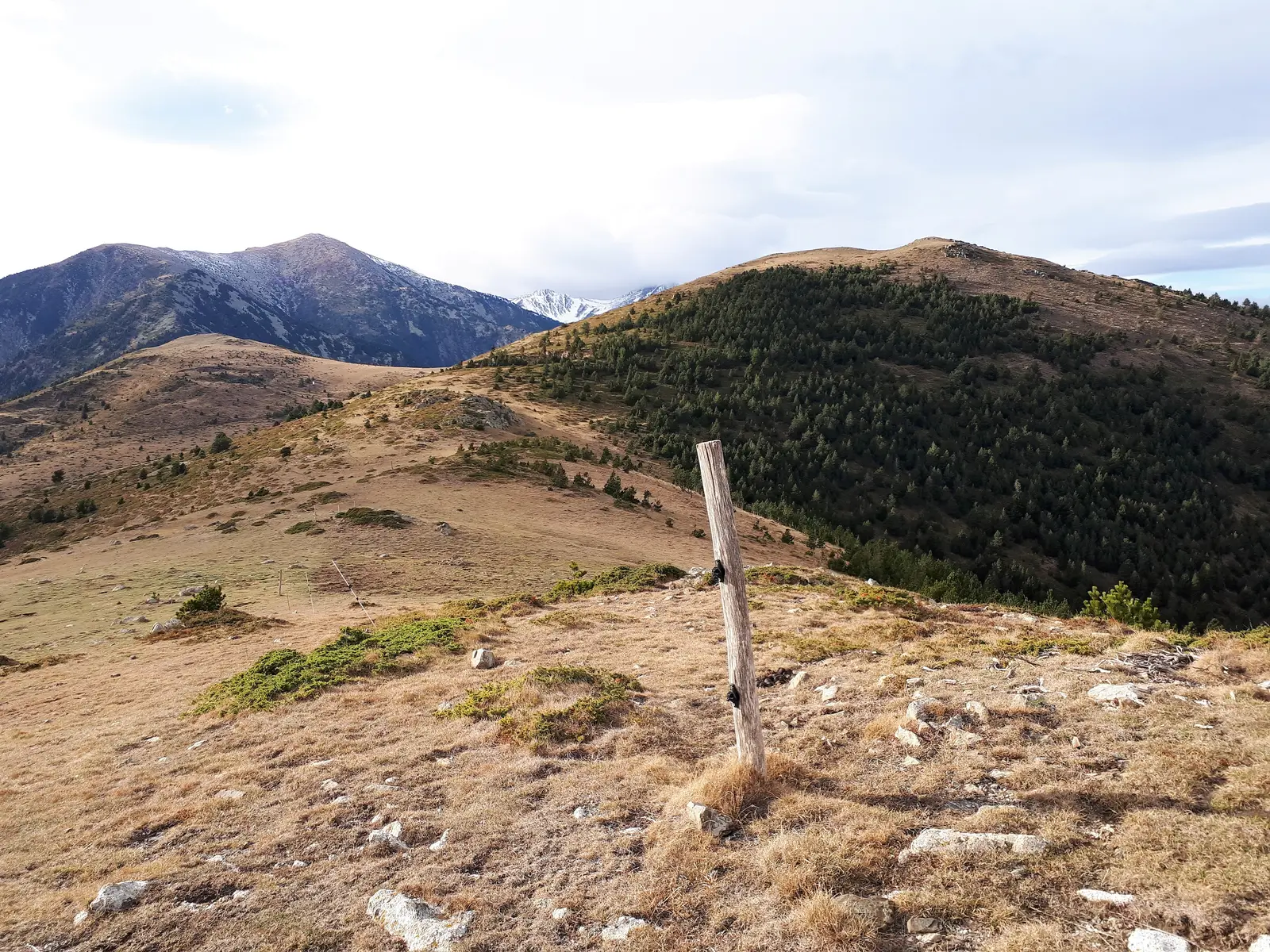 Grand Trail du Canigó - 56K