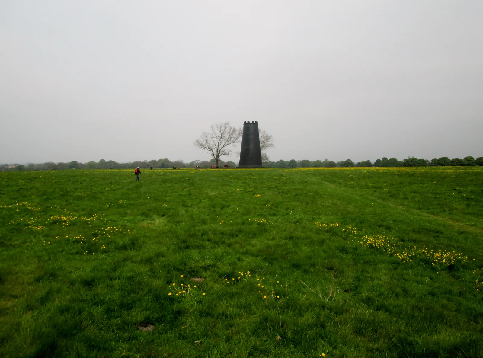 Hardwolds 40 - 47mi