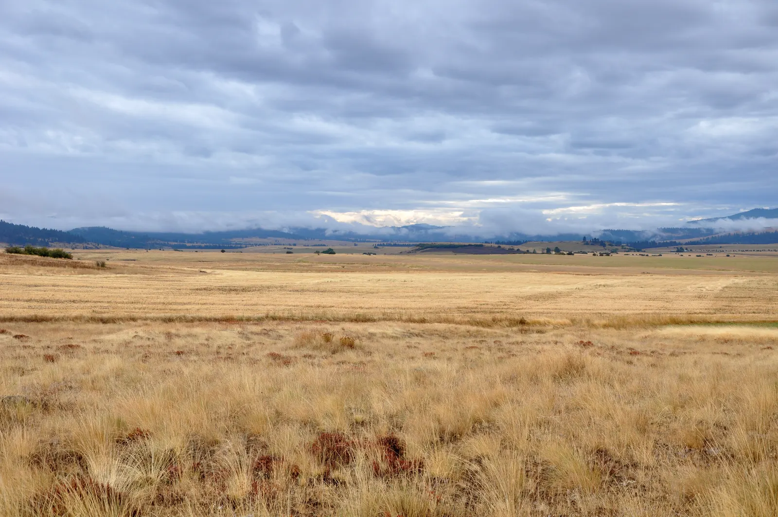 High Valley Half