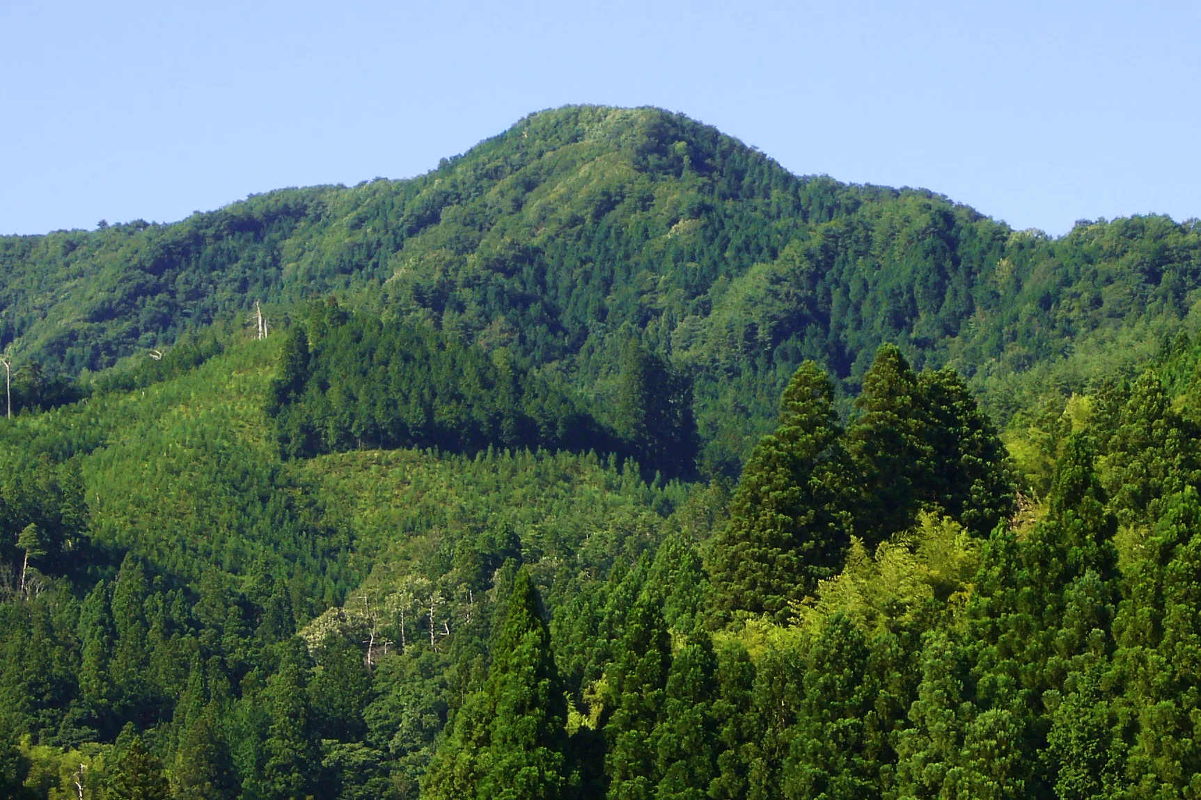 Himebotaru Torokawadaira trail run - 45K
