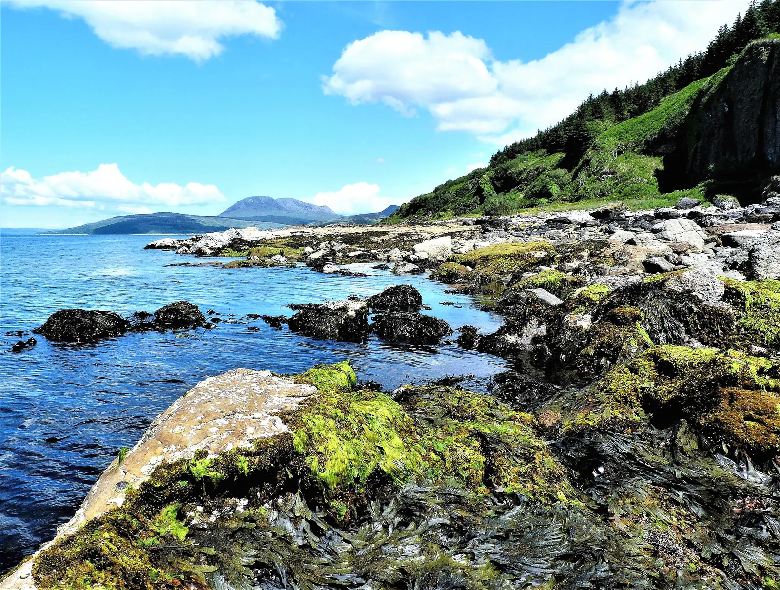 Isle Of Arran Half Marathon