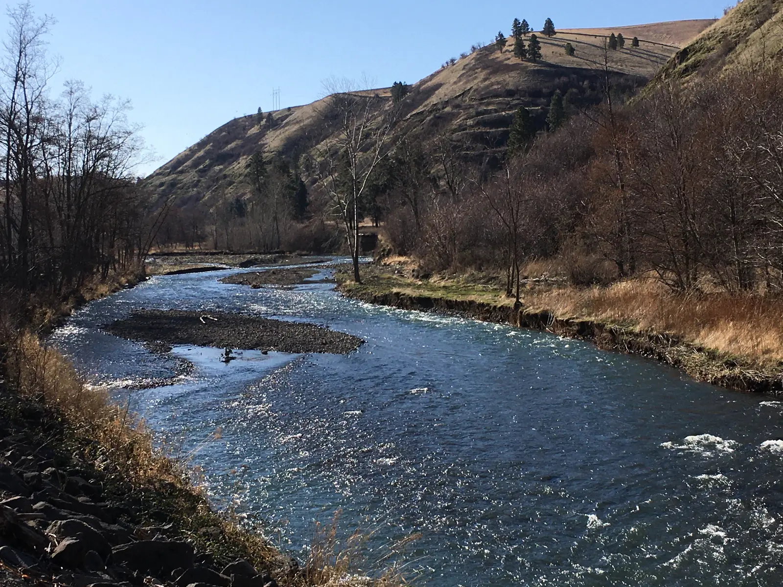 Jasper Mountain Trail Fest 2026