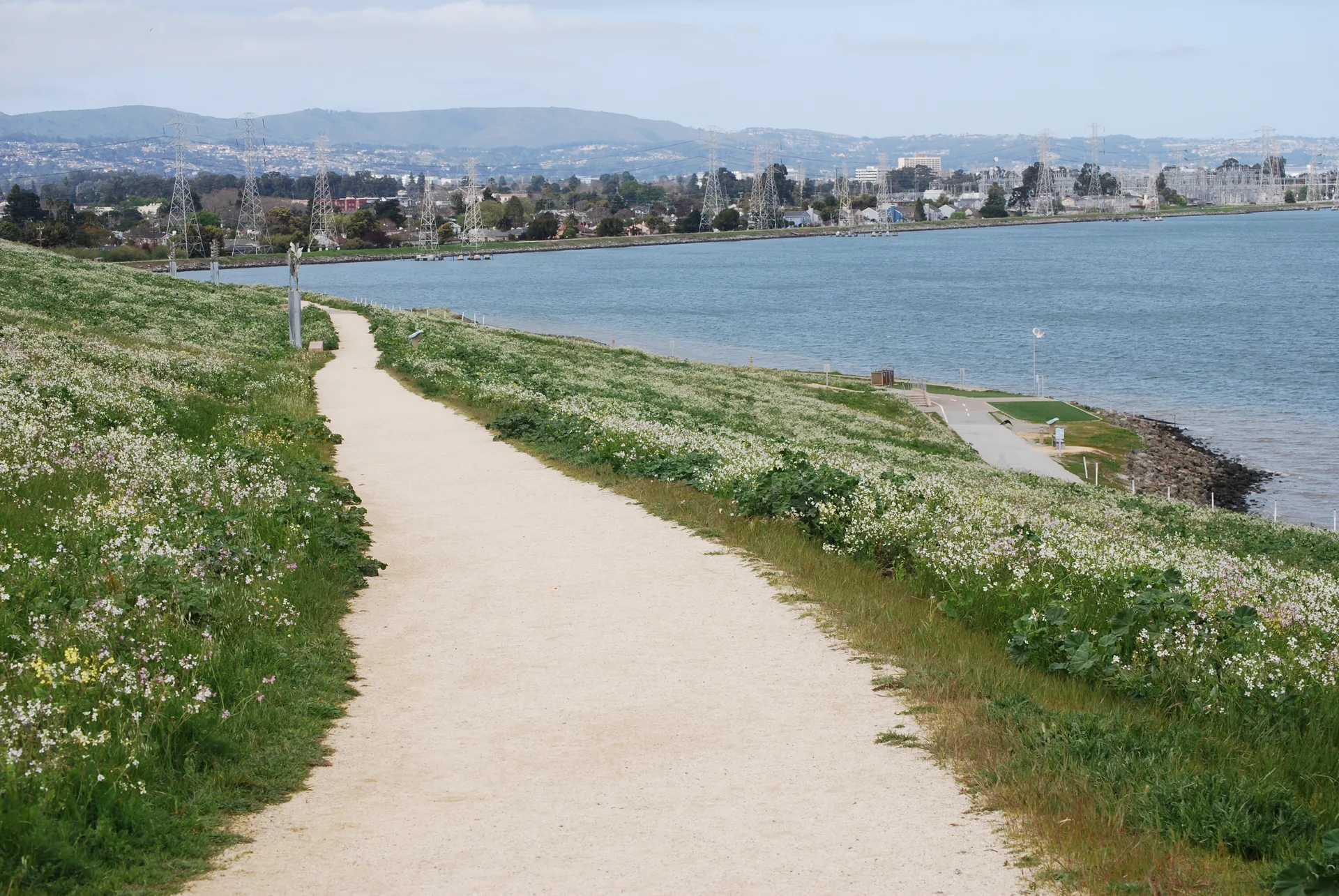 July 4th Run 5K/10K/13.1 SAN FRANCISCO