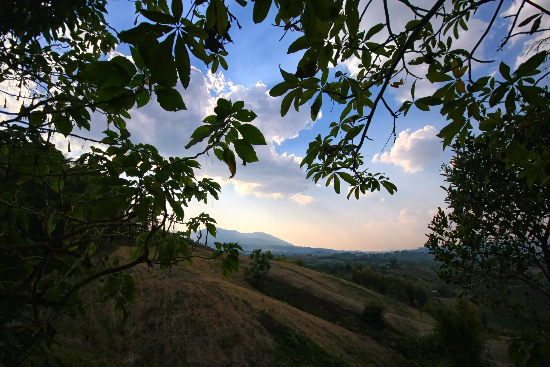 Khao Luang Baan Trail - 100K