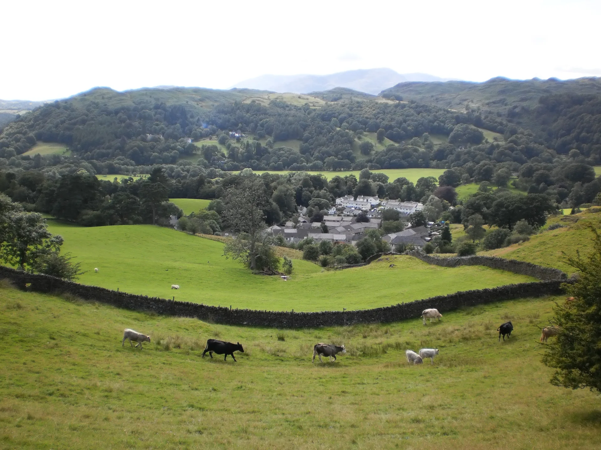 Lakeland Trails Ultra