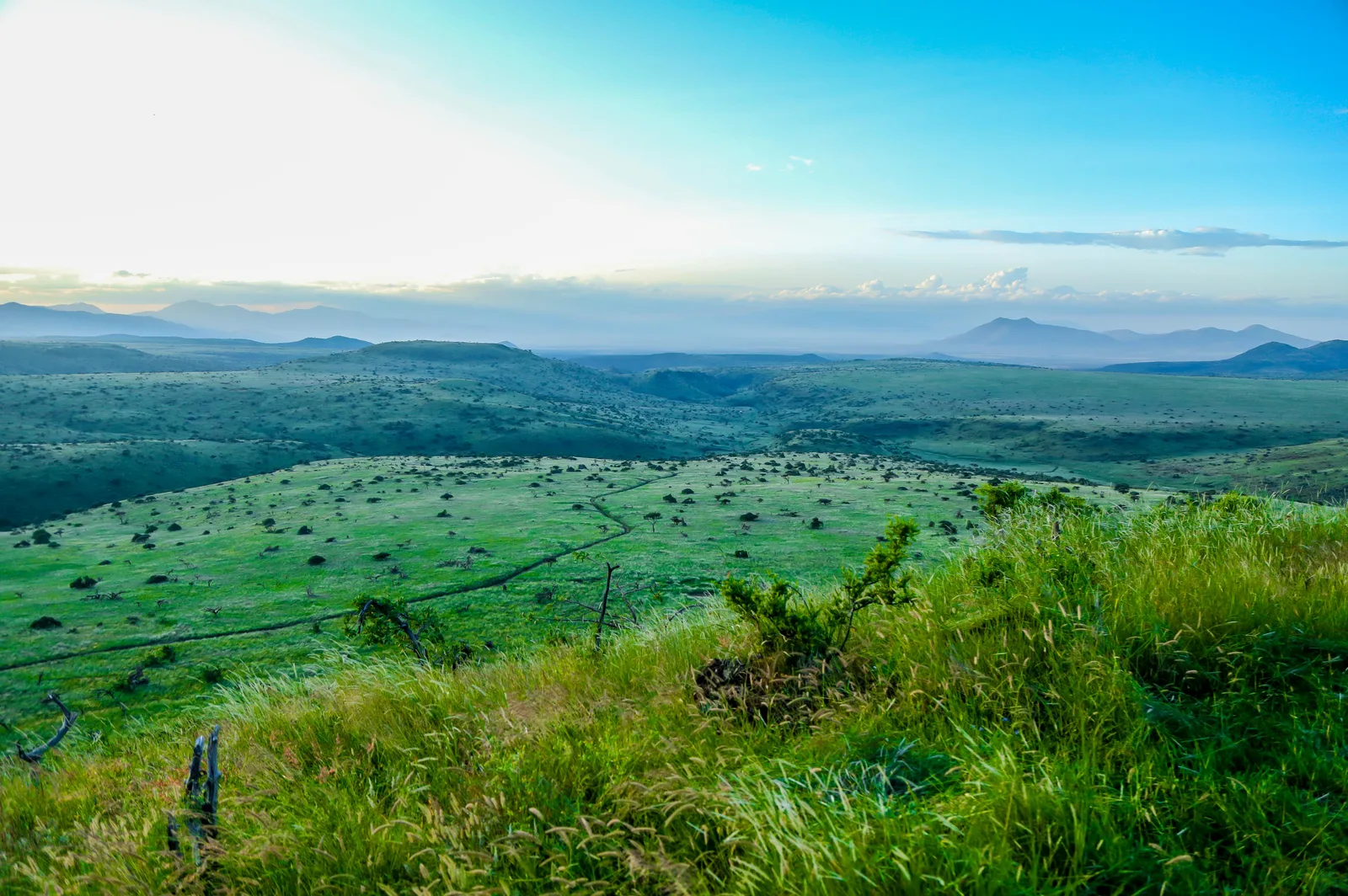Lewa Safari Marathon