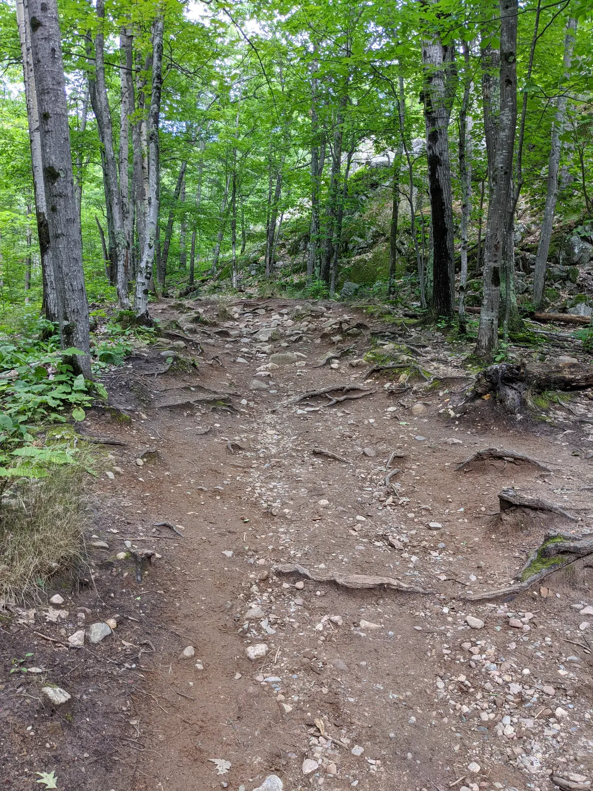 Marquette Trails Festival