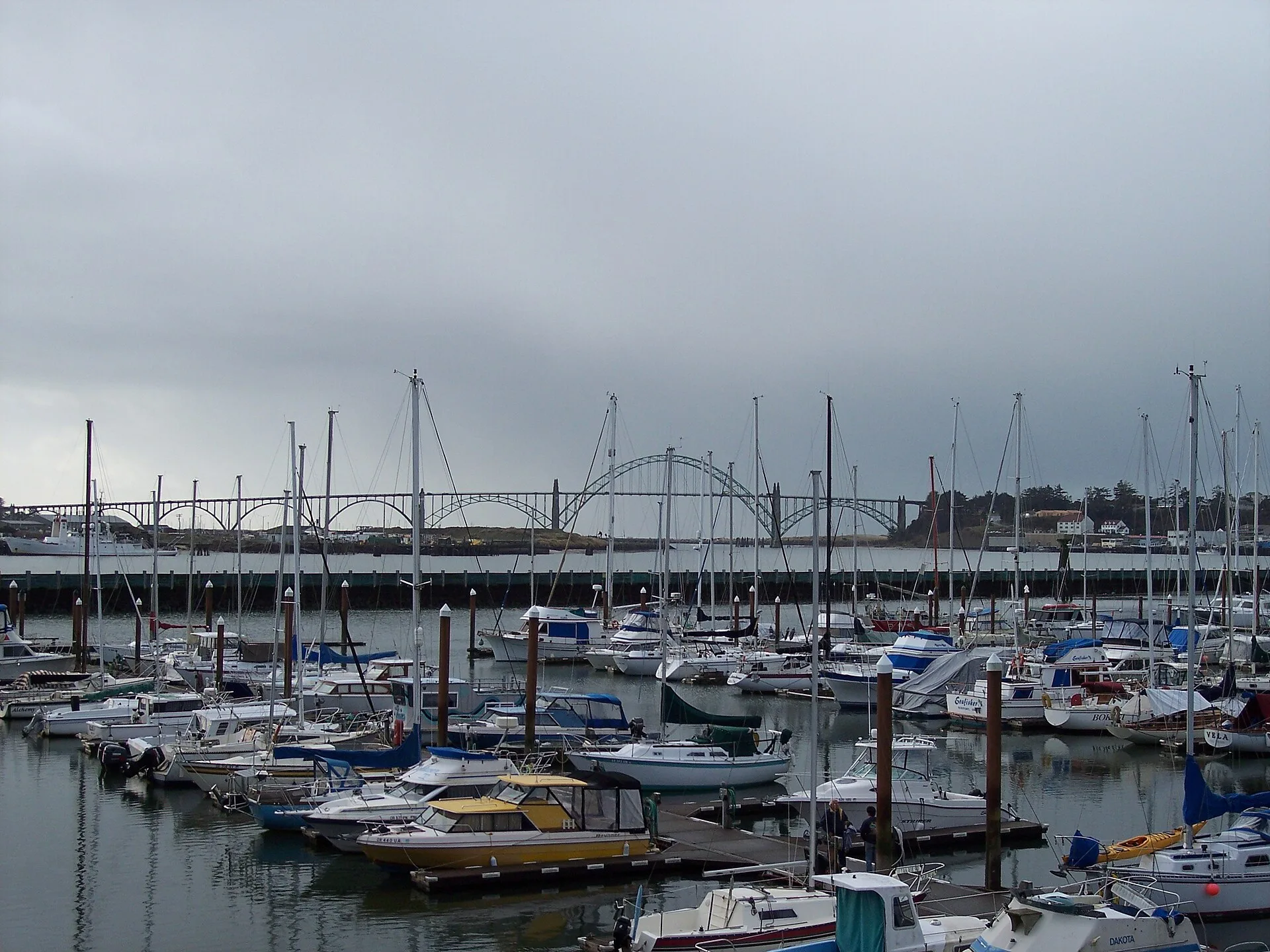 Newport Celebration Run