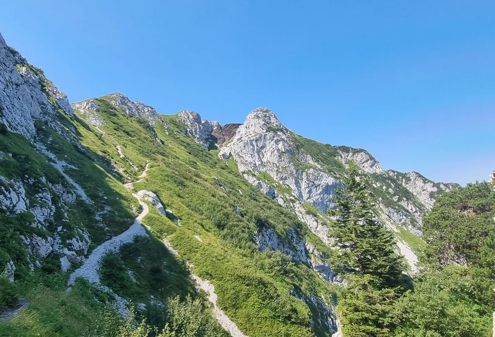 Podbrdo Trail Running Festival - 70K