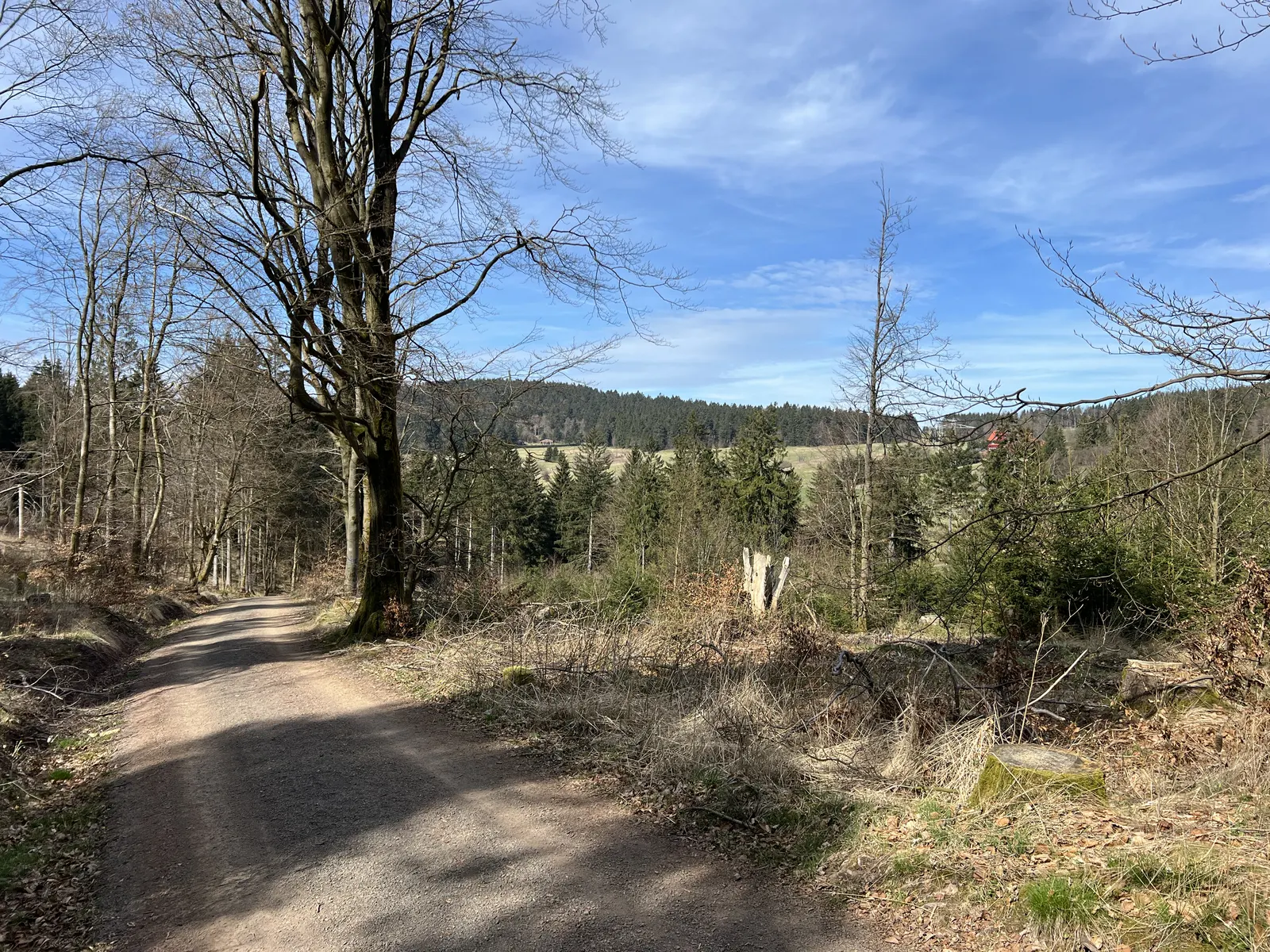 Rennsteig Staffellauf