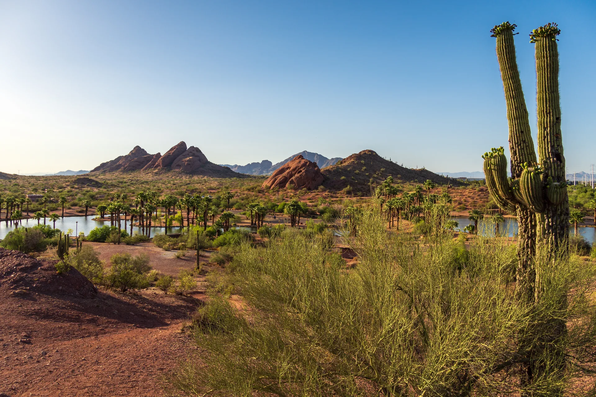 Run for Chocolate 5K/10K/13.1 PHOENIX