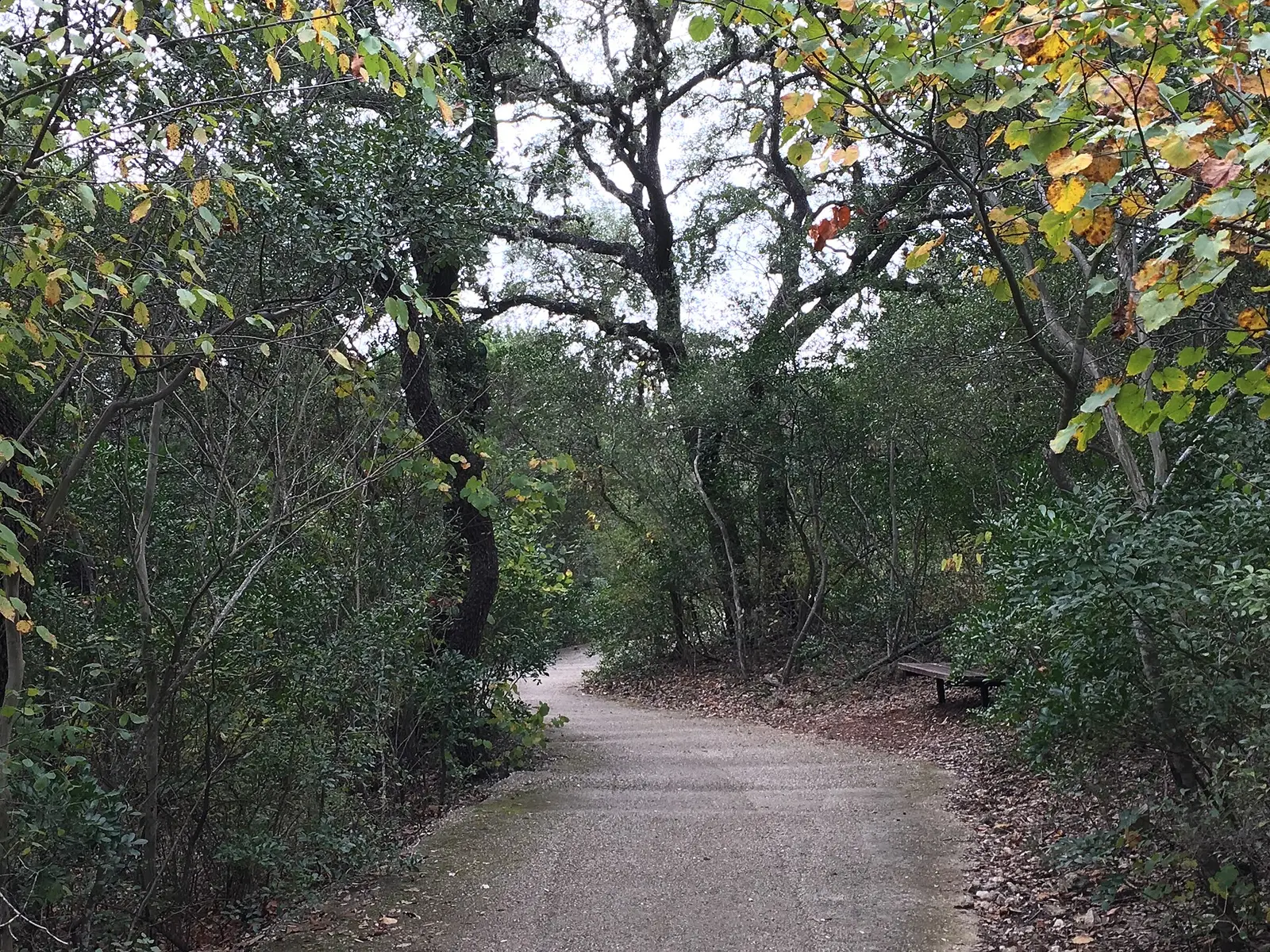Run for Chocolate 5K/10K/13.1 SAN ANTONIO