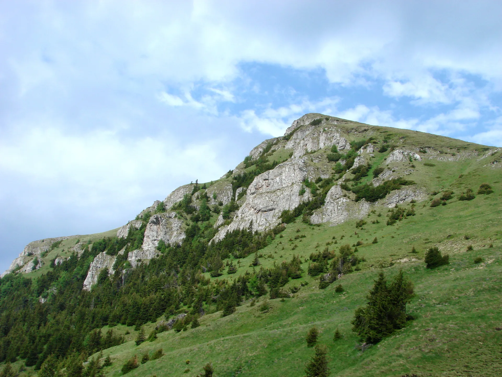 Sinaia Mountain Run by Constantina Diță