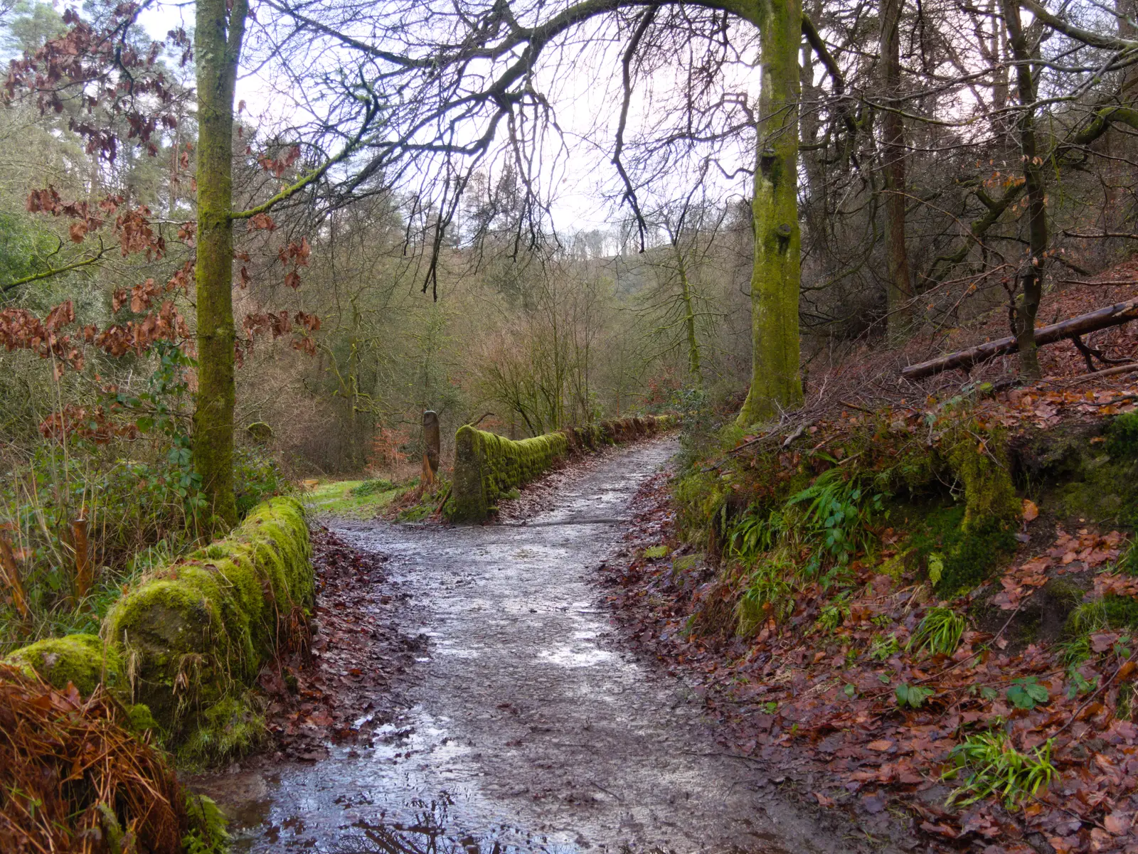 Summer Trail Series