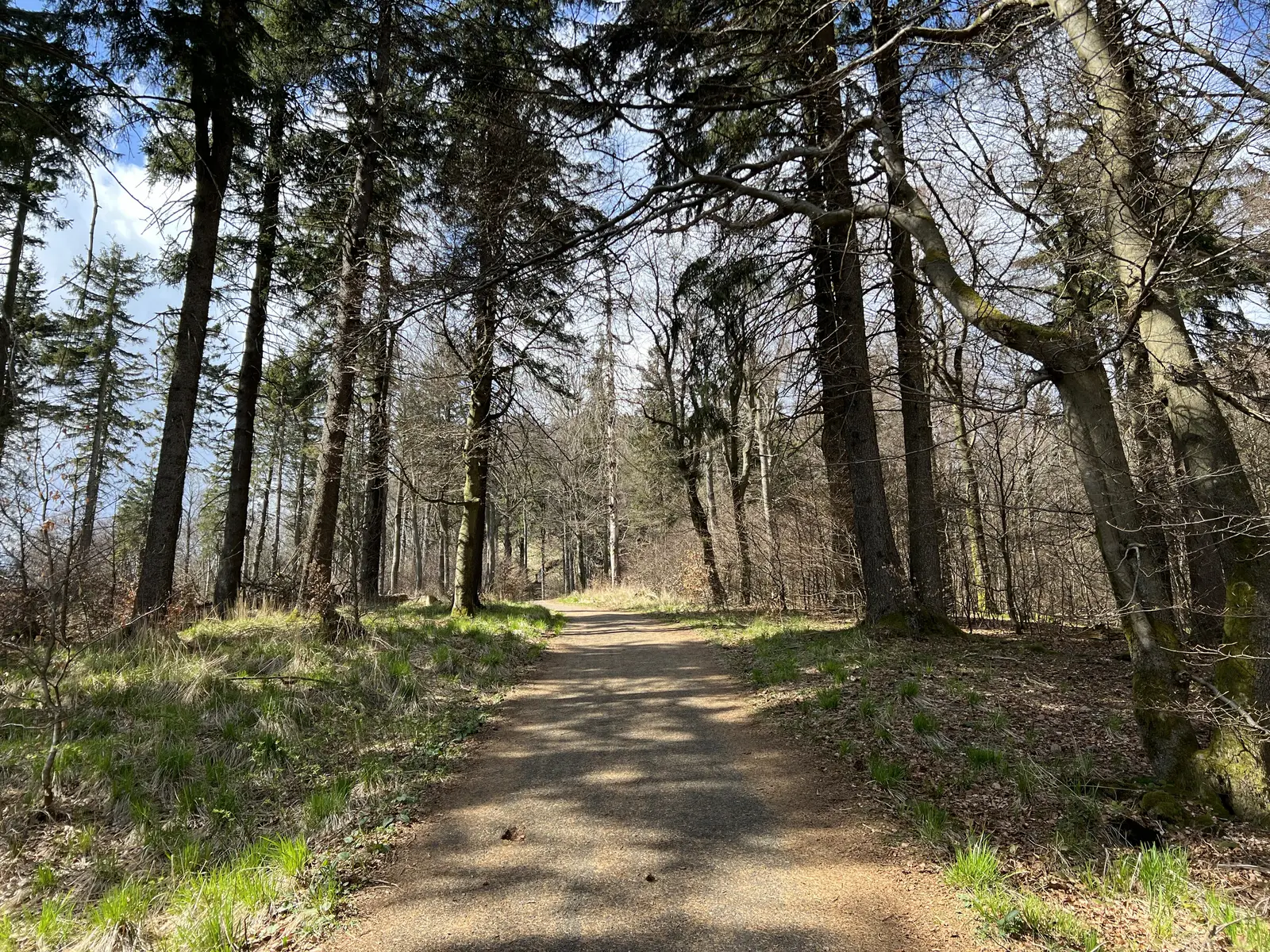 18. thüringenULTRA 100 km - 100km