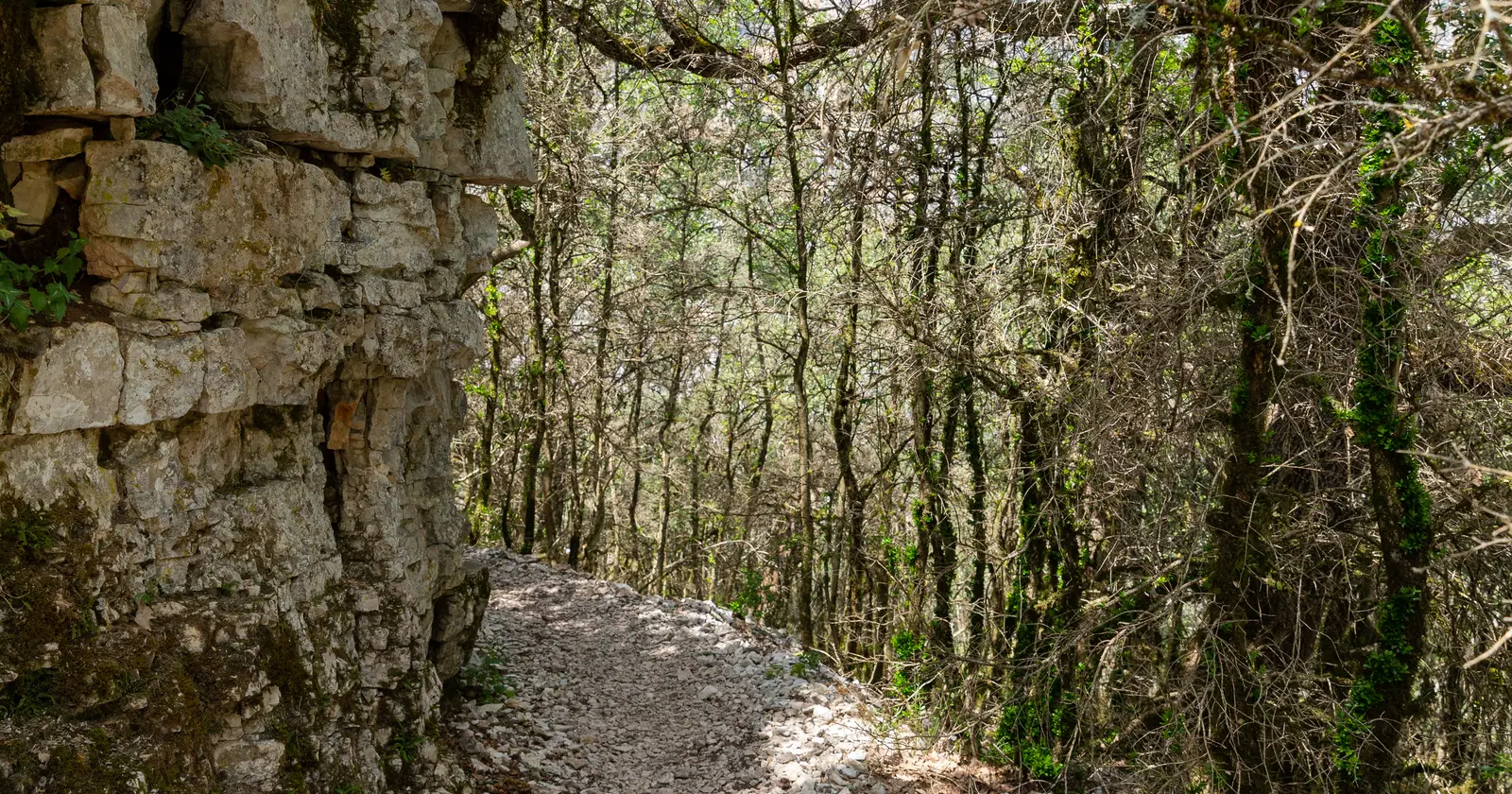 Trail Hyeges Verdon - 44K