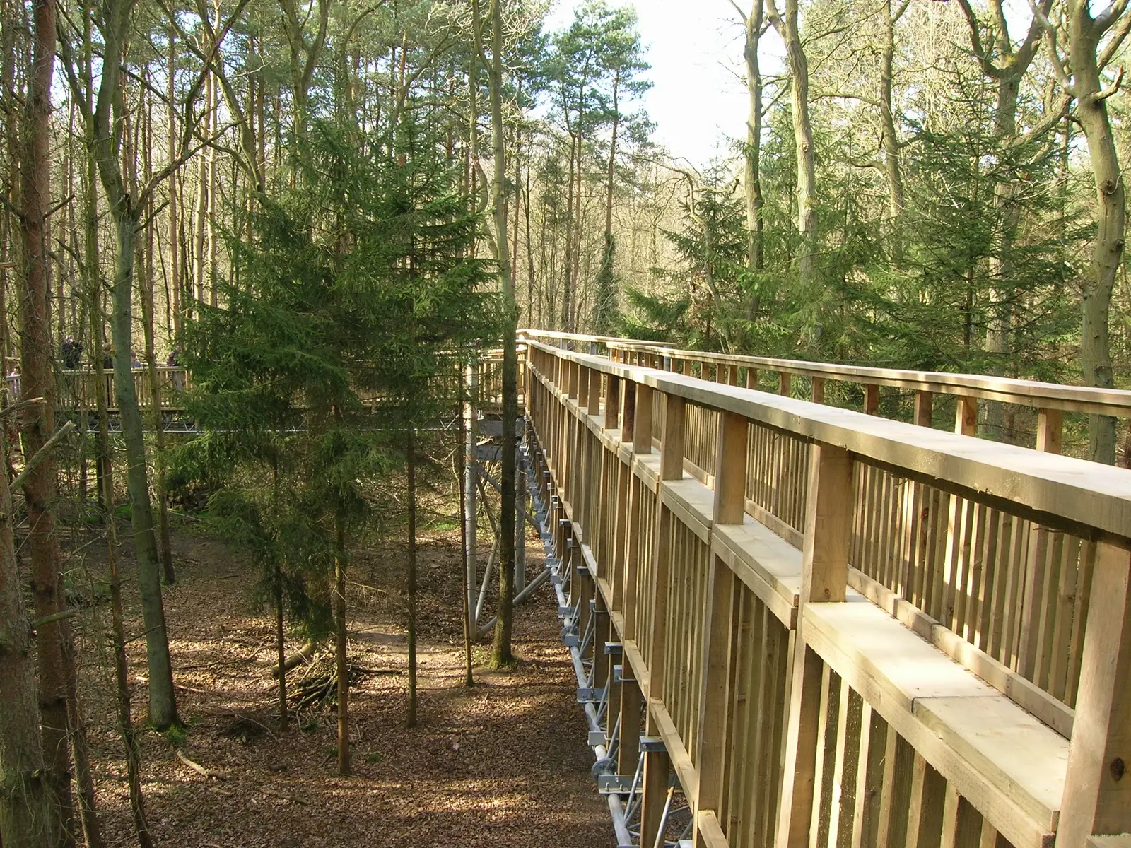 TrailFest - Salcey Forest - 52K