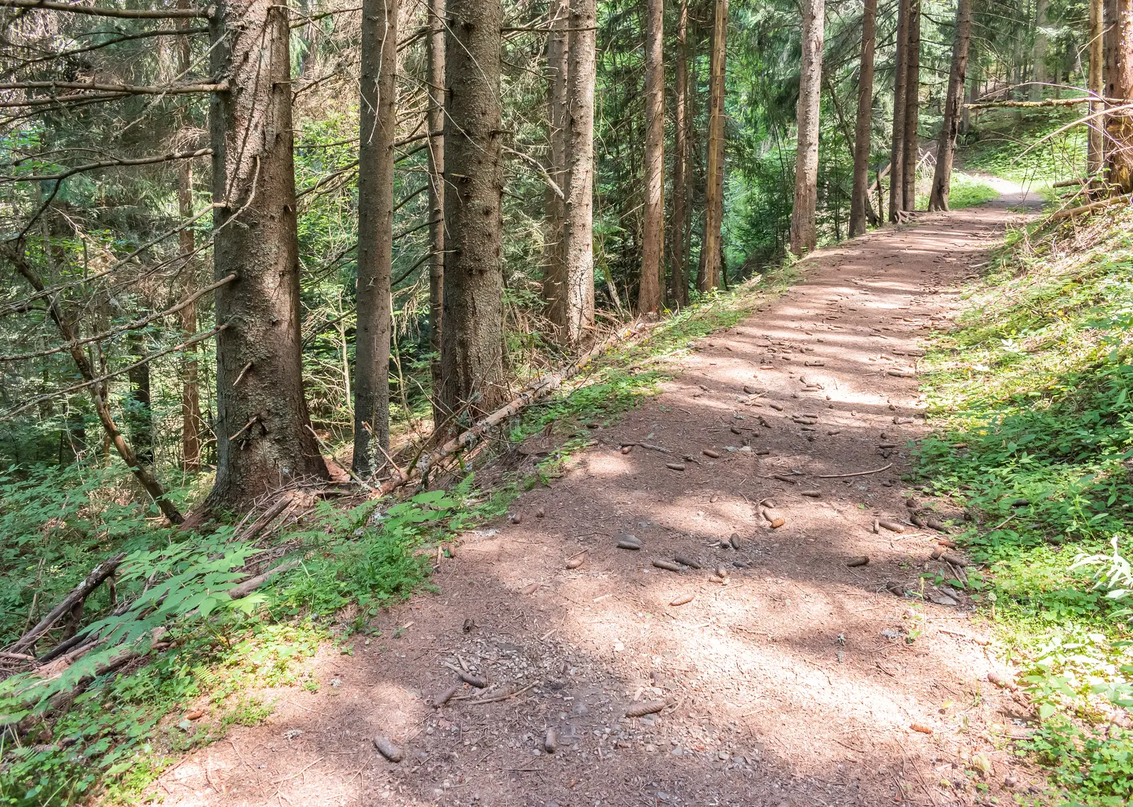 Ultra Trail Morzine-Avoriaz - 49K